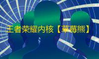 王者荣耀内核【草莓熊】辅助