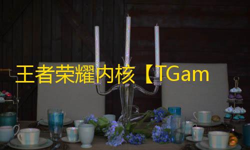 王者荣耀内核【TGame内透】辅助
