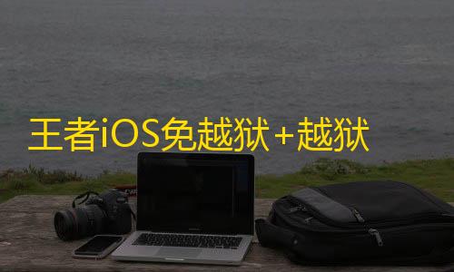王者iOS免越狱+越狱【妙手/透视/野怪技能CD计时/直装注入】辅助